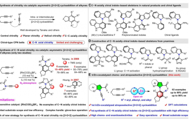 Science Advances：Ir/Zn 共催化化學和間質選擇性 [2+2+2] 環加成反應構建 C─N 軸向手性吲哚和吡咯