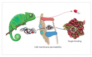 Nature Reviews Chemistry：藥物發現中的分子變色龍