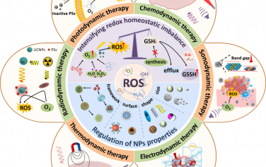 Biomaterials綜述：ROS基納米動力學療法優化策略在腫瘤診療中的應用