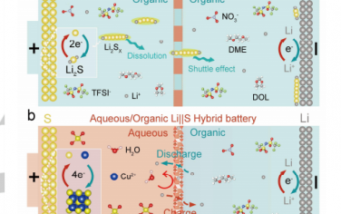 Angew：基于Cu2+氧化還原載流子的高能水/有機混合電池