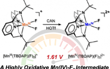 JACS：高氧化性單核錳（IV）-雙（氟）配合物的合成、表征和反應性