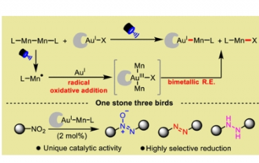 JACS：金-錳雙金屬光氧化還原耦合