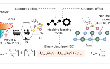 Nature Catalysis：機(jī)器學(xué)習(xí)輔助設(shè)計(jì)二進(jìn)制描述符以破譯硫還原動(dòng)力學(xué)的電子和結(jié)構(gòu)影響