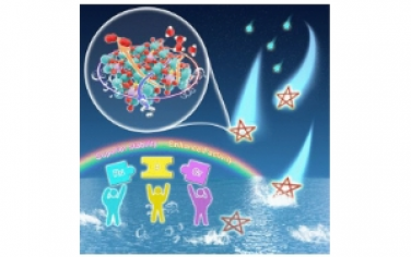 Nano Letters：設計 Ru?B?Cr 基團以激活 Ru 位點用于工業級電流密度下的酸性水電解