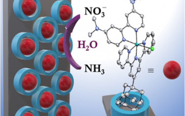 JACS：電極表面主客體修飾分子Ru電催化NH3