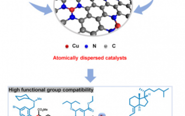 Chem：通過(guò)卡賓插入反應(yīng)形成C–O、C–N和C–C鍵的通用原子分散銅催化劑