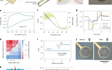 Nature Nanotechnology：高精度和高分辨率神經接口