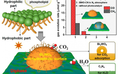 ACS Catal：Bi2WO6-C3N4異質(zhì)結(jié)光催化CO2還原