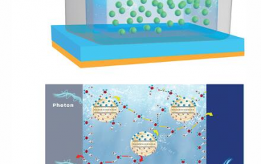 AFM：用于自驅(qū)動光電探測器的液態(tài)水分子連接量子點
