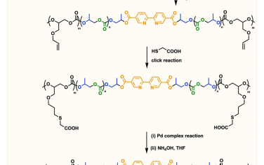 PNAS：膠束催化：用于水中碳-碳偶聯(lián)反應的聚合物結(jié)合鈀催化劑