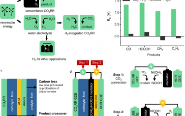 武漢大學(xué)Nature Commun：氫氧化和CO2電解結(jié)合能夠降低能量消耗