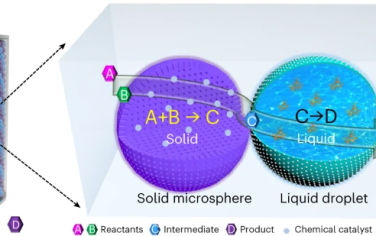 山西大學(xué)Nature Catalysis：Pickering液滴和固體微球連續(xù)相串聯(lián)催化