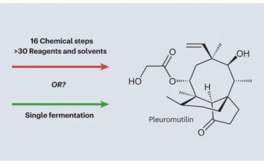 Nature Reviews Chemistry：真菌代謝產物的工程化和全生物合成