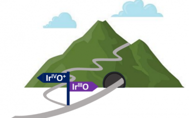 Angew：Ir(III)-oxo和Ir(IV)-oxo活化C-H化學(xué)鍵