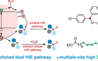 JACS：CdS光催化劑實現雙重氫同位素標記