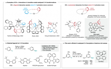 Nature Communications：與螺聯吡啶配體的非共價相互作用使銥催化的C–H活化成為可能