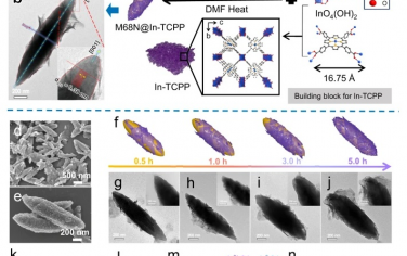 華中科技大學Nature Commun：核殼MOF異質結聚焦光催化合成HCOOH和H2O2