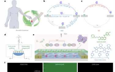 Nature Materials：一種用于生物傳感器的藥物介導有機電化學晶體管