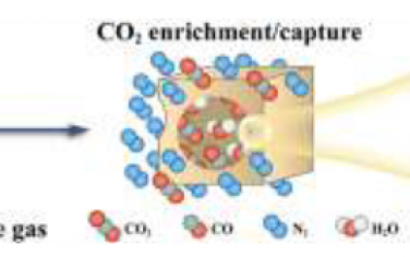 Angew：金屬-有機骨架微孔中同時捕獲CO2促進其電還原