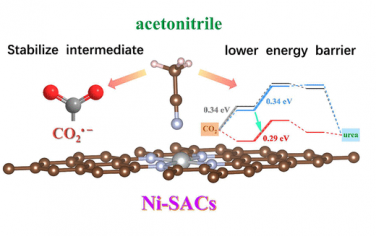 ACS Catal：乙腈改善Ni單原子電催化CO2合成尿素