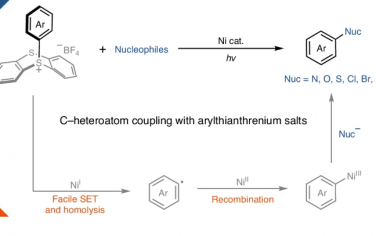 Nature Catalysis：Ni光催化實現芳基噻蒽鎓合成芳基化合物