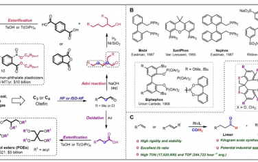 Science Advances：用于工業加氫甲酰化和異構化-加氫甲酰化的穩健、可擴展和高選擇性的螺旋環催化劑