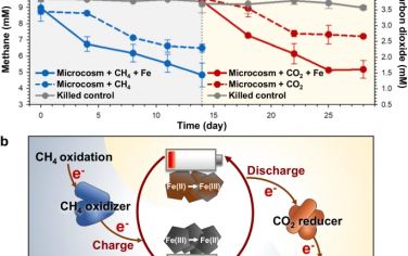 Nature Commun：微生物處理結合電化學處理CH4和CO2