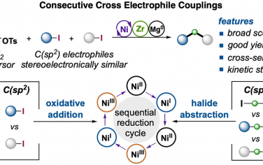 上?？萍即髮WJACS：通過開殼層Ni(I)/Ni(III)實現連續構筑兩個C(sp3)-C(sp2)化學鍵