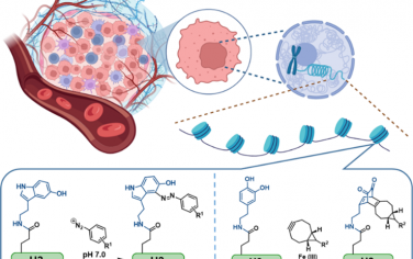 JACS：生物正交標(biāo)記和富集組蛋白單胺化以揭示其在癌細(xì)胞染色質(zhì)中的積累和調(diào)節(jié)功能