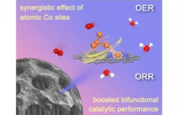 ACS Nano：鈷低核團(tuán)簇與單核位點(diǎn)協(xié)同調(diào)控電子結(jié)構(gòu)實(shí)現(xiàn)高效氧電催化