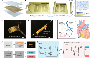Science Advances：用于無線心臟電療的自組裝植入式微管起搏器