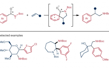 Nature Chemistry：由亞磺酰胺的N-中心自由基反應性實現的一般烯烴氨基芳基化
