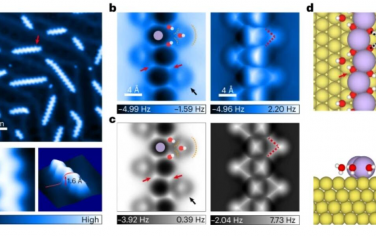 Nature Nanotechnology：水介導(dǎo)引力驅(qū)動(dòng)界面堿離子的納米一維緊密堆積