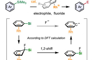 西湖大學(xué)JACS：Rh催化活化芳烴硅烷C-Si化學(xué)鍵