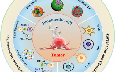ACS Nano綜述：仿生納米遞送系統用于腫瘤免疫治療