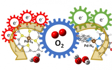 JACS：用于可持續電化學生產過氧化氫的雜原子配位鈀分子催化劑
