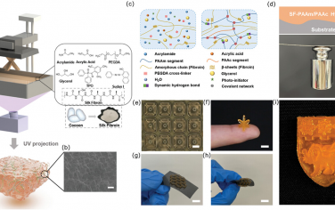 AFM：具有可調黏附力和可拉伸性的3D打印絲素基水凝膠用于可穿戴傳感
