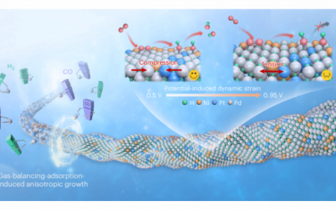 Nature Catalysis：貴金屬基納米線電催化劑的氣體平衡吸附策略