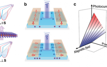 清華大學Adv Mater：應用于傳感器視覺系統的2D材料構筑室溫磁性光電器件