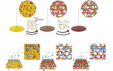 Science Advances：具有可切換功能的機械穩(wěn)定的聚合物分子篩膜用于高二氧化碳分離性能