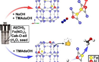JACS：Fe-CHA催化劑的甲烷氧化反應活性位點和反應路線