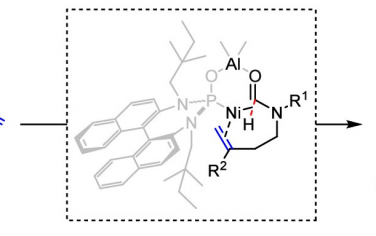 南開&天津大學(xué)JACS：Ni-Al雙金屬催化烯烴構(gòu)筑α-四級碳γ內(nèi)酯