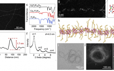 清華大學Nature Commun：高負電POM和熒光分子合成有機凝膠