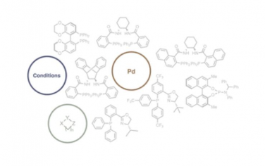 Chem. Soc. Rev.：鈀催化的雜環不對稱烯丙基烷基化