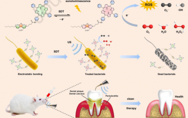 Biomaterials：含碲紫精錨定的四苯基卟啉可作為聲敏劑以用于牙周炎聲動力治療