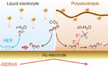 武漢大學(xué)JACS：表征電催化CO2的電極-固體電解質(zhì)界面