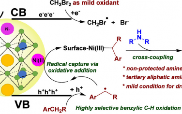 圣迭戈州立大學JACS：Ni摻雜鈣鈦礦光催化芐基C-H鍵氨基化