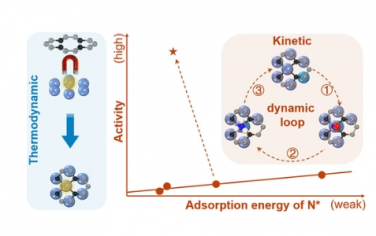 JACS：結(jié)構(gòu)自調(diào)節(jié)促進(jìn)單原子 NO 電還原