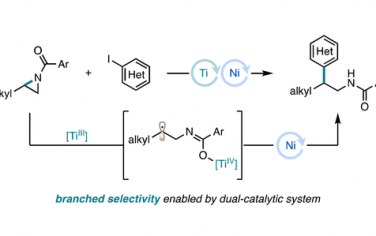 JACS：TiNi協同催化氮雜環丙烷枝狀芳基化