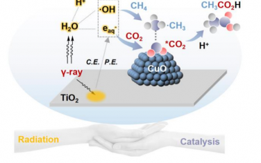 馬丁Angew：輻照催化CH4和CO2合成CH3COOH
